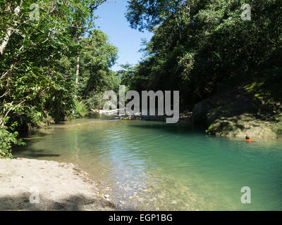 Rio Bajabonico clean river Puerto Plata Dominican Republic surrounded ...