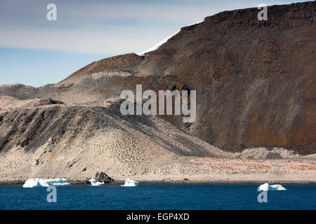 Antarctica, Weddell Sea Paulet Island, Adelie penguin colony on volcanic ash Stock Photo