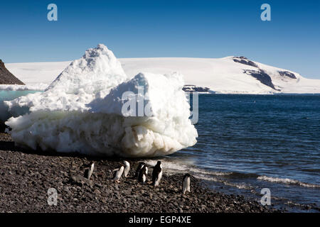 Antarctica, Weddell Sea Paulet Island, Adelie penguins on beach by iceberg Stock Photo