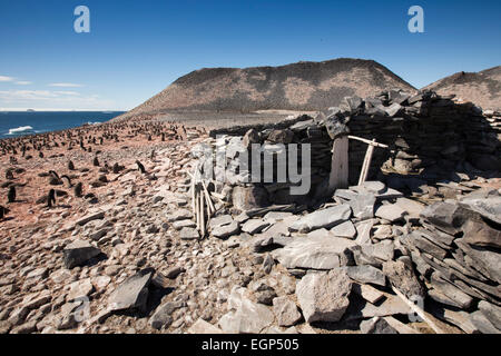 Antarctica, Paulet Island, ruins of 1903 Swedish Antarctic expedition Larsen Stone Hut Stock Photo