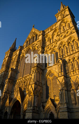 Salisbury Cathedral facade in evening light, Salisbury, England, United Kingdom. Stock Photo