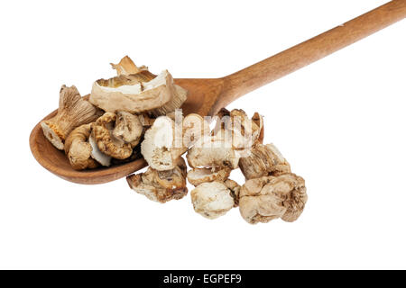 Wooden spoon with dried mushrooms, isolated on white background Stock Photo