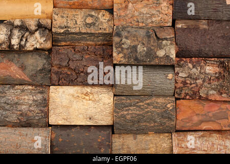 bark of different trees, background, isolated on white Stock Photo