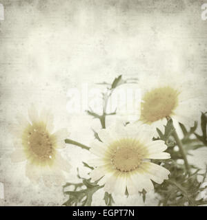 textured old paper background with garland chrysanthemum Stock Photo