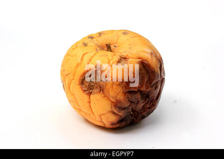 Apple in 6 stages of decay Stock Photo: 50153130 - Alamy