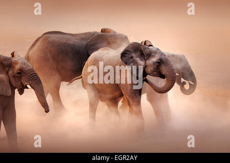 Disturbed elephants (Loxodonta africana) stirring dust in desert - Etosha National Park (Namibia)