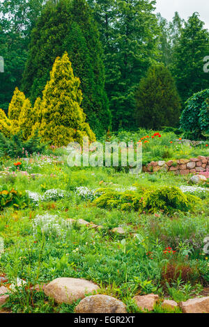 Flowerbed, Small Green Trees And Cuted Bushes In Garden. Beautiful Summer Park. Landscaping. Garden Design Stock Photo