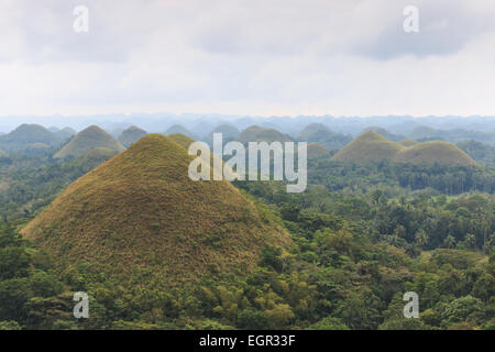 Panoramic view of the Chocolate Hills in Bohol, Philippines. Stock Photo