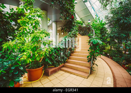 Greenhouse With Flowers And Plants. Temperate House Conservatory, Botanical Gardens. Stock Photo