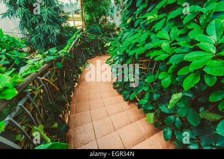 Greenhouse With Flowers And Plants. Temperate House Conservatory, Botanical Gardens. Stock Photo