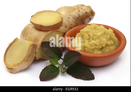 Fresh crushed ginger with holy basil over white background Stock Photo
