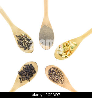 condiments, spices on wooden spoons isolated on white background Stock Photo