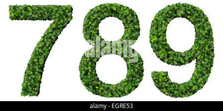 7 8 9 digits made from green leaves isolated on white background. Stock Photo