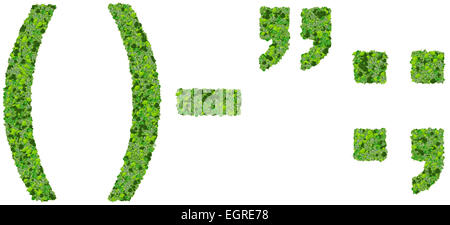 parentheses, quotation marks, minus, semicolon, colon made from green leaves isolated on white background. ()-':; Stock Photo