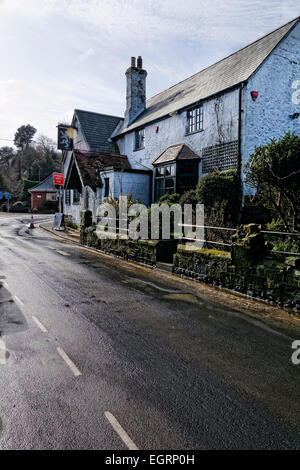 The attractive White Lion is the central pub in Niton, Isle of Wight, UK Stock Photo