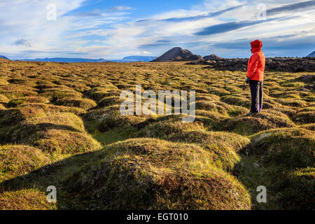 A hiker in an old moss-covered lava field at Krafla volcanic area in Iceland Stock Photo