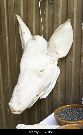 Pig head, detail of a severed head of a pig, feed and animal flesh Stock Photo