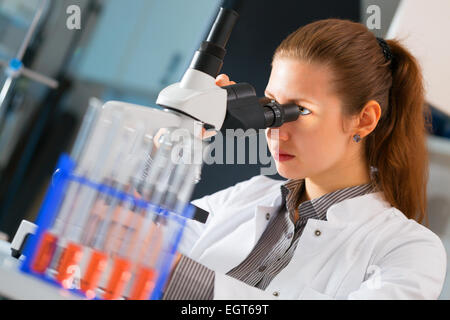 Scientist young woman using a microscope in a science laboratory Stock Photo