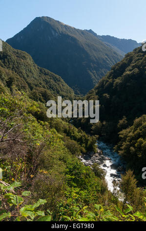 Mount Aspiring National Park on State Highway 6, the Haast Pass, in the Southern Alps, West Coast, South Island, New Zealand. Stock Photo