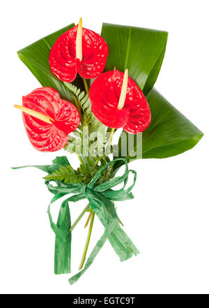 Red anthurium flower isolated on white background Stock Photo