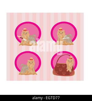 Yorkshire terrier red and black with elegant exhibition haircut - set Stock Vector