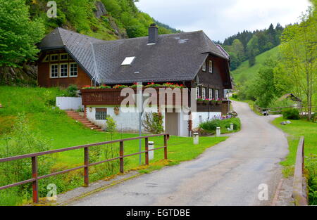 Black Forest, Baden-Wurttemberg, Black Forest, Altglashütte, Black Forest house with hipped roof, Schwarzwald, Baden-Württemberg Stock Photo