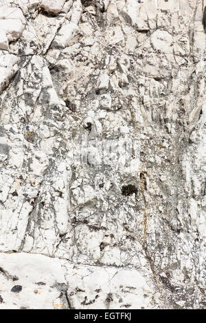 Close-up of one of the Seven Sisters chalk cliffs, showing the layers of chalk and bands of flint. Stock Photo