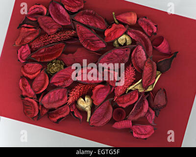 Red and golden leafs, petals and  cones on red and gray background Stock Photo