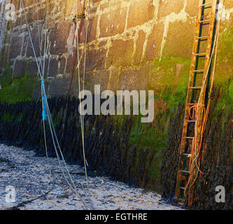 Ropes ladder and seaweed on harbour wall St Ives Cornwall England Europe Stock Photo