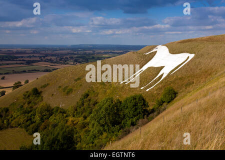A landscape view of the Westbury White Horse on the edge of Bratton Downs, Wiltshire, England Stock Photo