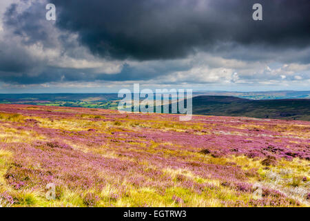 A view over moors near Castelton, North York Moors National Park, North Yorkshire, England, United Kingdom, Europe. Stock Photo