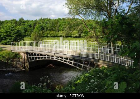 Cantlop Bridge (Built 1813) is a cast Iron single span road bridge over the Cound Brook, Cantlop, Shropshire. Stock Photo