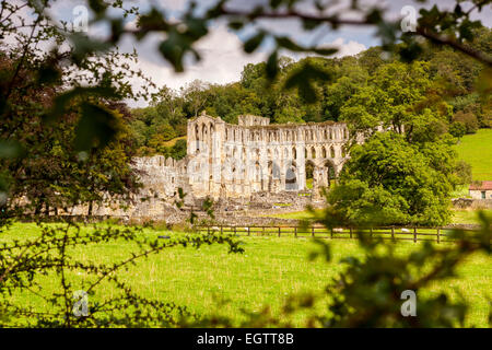 Ruins of Rievaulx Abbey, North Yorkshire, England, United Kingdom, Europe. Stock Photo