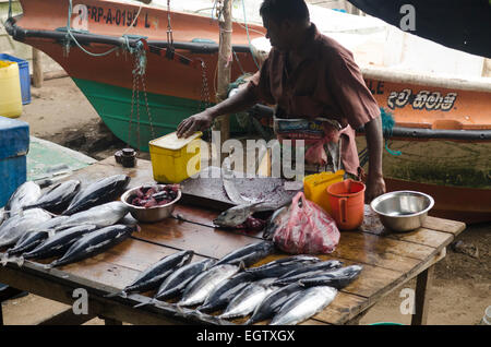 Fish market in Galle Fort, Sri Lanka Stock Photo