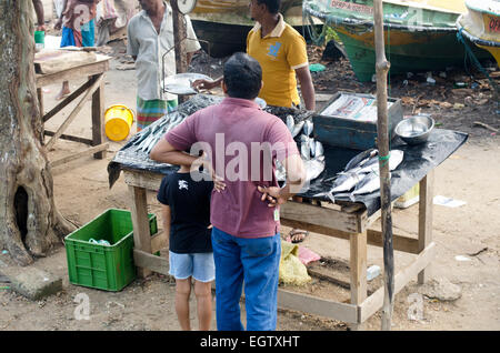 Fish market in Galle Fort, Sri Lanka Stock Photo