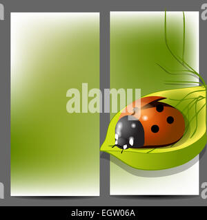 template for two folder brochure with ladybug Stock Photo