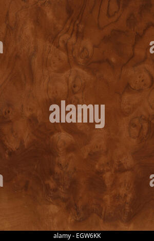 background of wood grain from walnut burr Stock Photo
