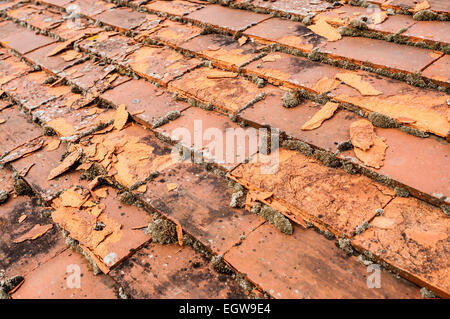 Flaking fired-clay roofing tiles / frost damage - France. Stock Photo
