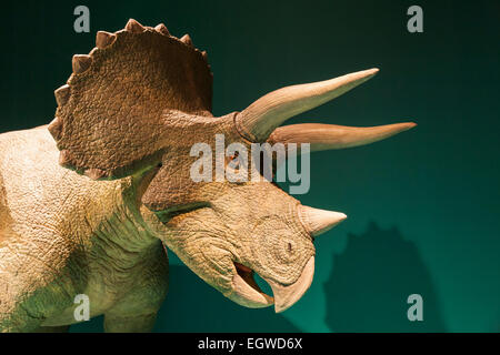 China, Animatronic Model of Triceratops Stock Photo