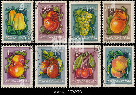 HUNGARY - CIRCA 1954: Stamps printed in Hungary show Peppers, Grapes, Apricots, Tomatoes, Apples, Peaches, Cherry, Plums, from t Stock Photo