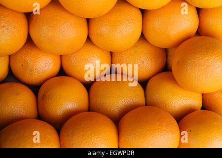 orange (Citrus sinensis) Stock Photo