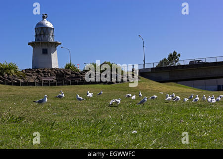 Lighthouse by the river in Wairoa in New Zaland Stock Photo