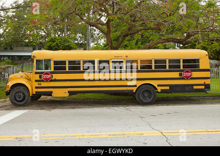 American school bus Stock Photo