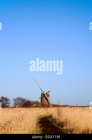 A view of the derelict Brograve Drainage Mill on the Norfolk Broads near Horsey, Norfolk, England, United Kingdom. Stock Photo