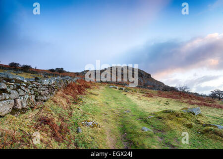 Moorland track leading to Sharp Tor near Henwood on Bodmin Moor in Cornwall Stock Photo