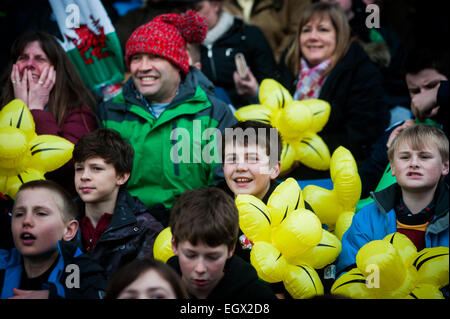 London Welsh rugby supporters celebrating on Saint David's Day (March 1st 2015) and waving inflatable daffodils Stock Photo