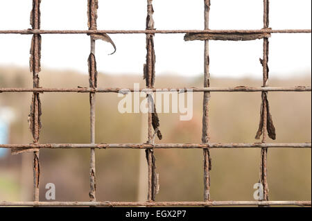 Rusty strong steel wire grid corroding and deteriorating a barrier to keep public safe from falling soon to fail itself Stock Photo