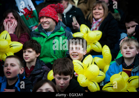 London Welsh rugby supporters celebrating on Saint David's Day (March 1st 2015) and waving inflatable daffodils Stock Photo