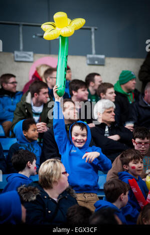 London Welsh rugby supporters celebrating on Saint David's Day (March 1st 2015) and waving inflatable daffodils Stock Photo