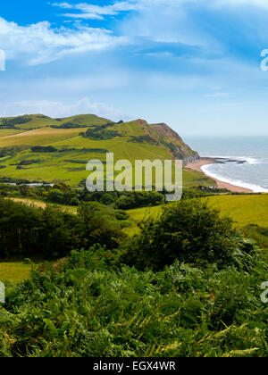 View in summer from Golden Cap towards Seatown and the dramatic sandstone cliffs of the Jurassic Coast in West Dorset England UK